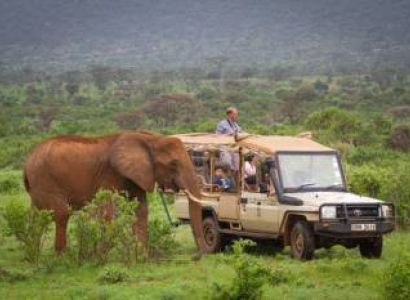 7 Days Samburu - Lake Nakuru Safari Tour