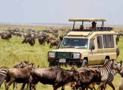 Ngorongoro Tour Packages