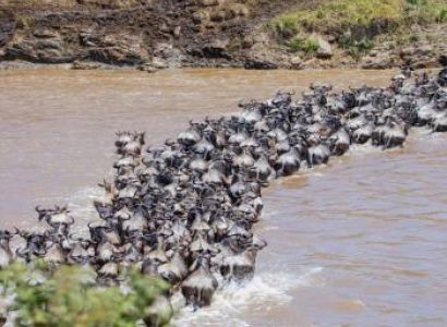 Ngorongoro Tour Packages