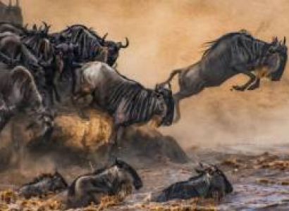 Manyara Tour Packages