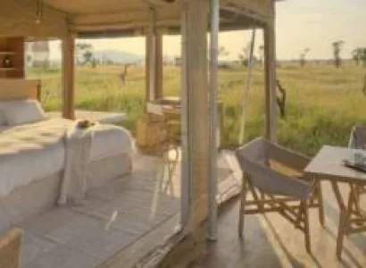 5 Days Luxury Tanzania Safari Tour