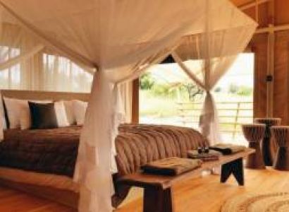 7 Days Luxury Tanzania Safari Tour