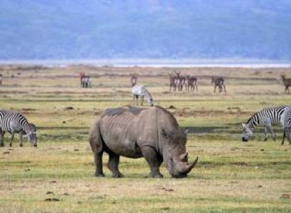 3 Days Serengeri - Ngorongoro Joining Safari Tour