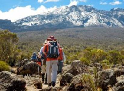 8 Days Lemosho Route Kilimanjaro Climbing Tour