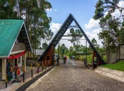 Machame Route Day Hike Tour