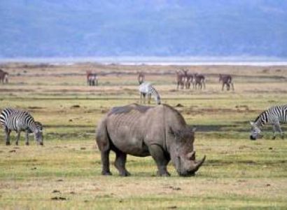Ngorongoro Tour Packages