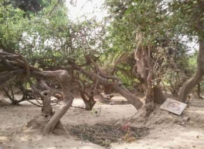 Mathura Vrindavan Agra Tour Package