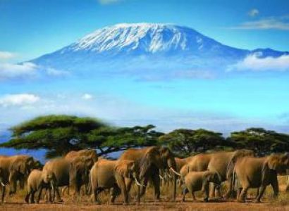 3-Day Tsavo East - West Safari Tour