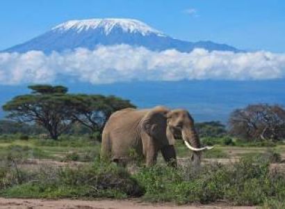 3 Day Tours To Tsavo West - Amboseli Safaris From Nairobi