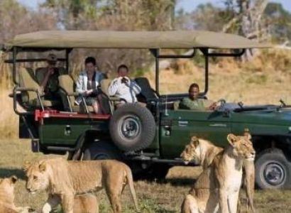 2 Day Masai Mara Group Safari Tour