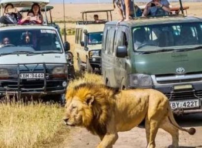 3 Day Masai Mara Group Safari Tour