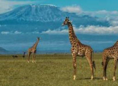 2 Day Amboseli Group Safari Tour