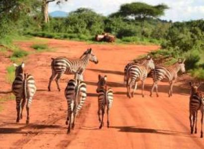 2-Day Tsavo East Group Safari Tour From Diani Beach