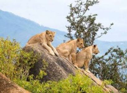 3-Day Amboseli - Tsavo Safari Tour