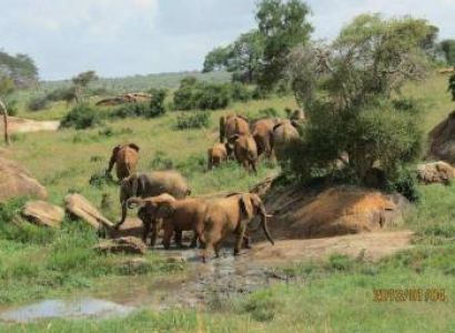 5 Day Amboseli - Tsavo Safari Tour