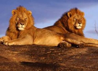 2 Day Safari Tour From Diani Beach To Tsavo East - Taita Hills