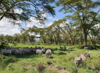 4 Day Amboseli - Tsavo Safari Tour From Diani Beach
