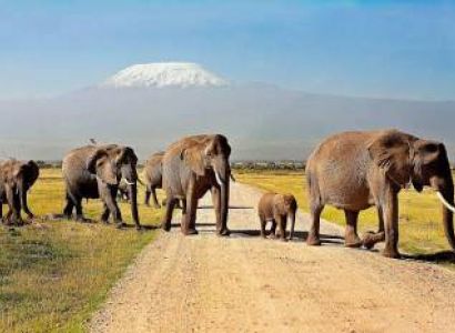 7 Days Of Safari In Kenya - Tanzania Tour From Your Nairobi
