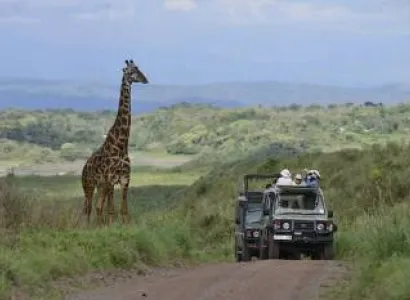 Arusha National Park Full Day Safari Trip