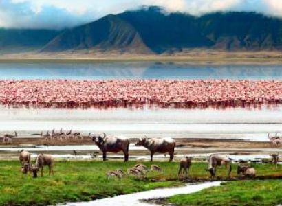 3-Day Taste Of Tanzania Safari Tour