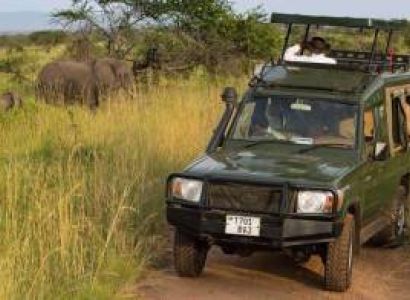 6 Day Tanzania Safaris Tour From Arusha