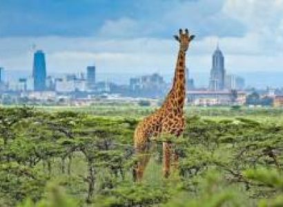 8 Day Kenya Safari Tours From Nairobi
