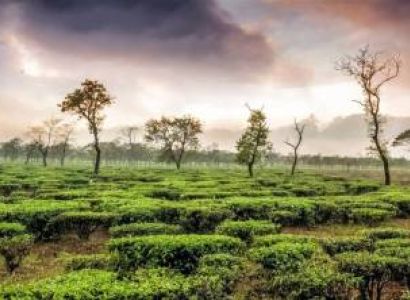 Darjeeling Tour - Queen Of Hills 3 Nights - 4 Days