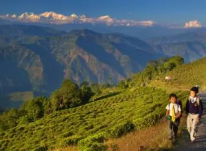 Bagdogra Tour Package 5N - 6D