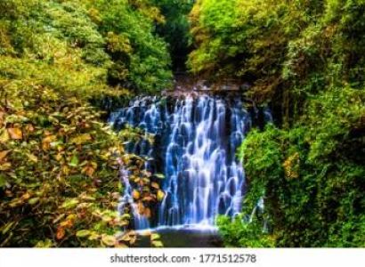 5N - 6D Meghalaya Tour Package