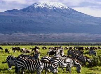 7 Nights - 8 Days Kenya Safari Package