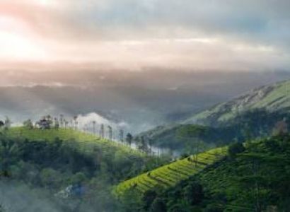 Kerala Prime Attractions In 5 Days Munnar - Thekkady - Alleppey