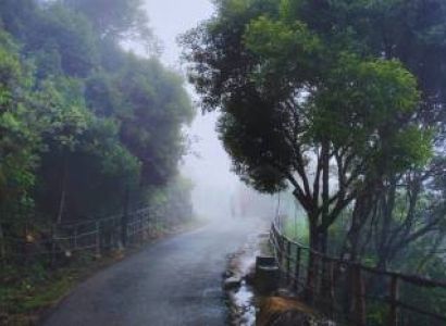 Kerala Prime Attractions In 6 Days Munnar - Thekkady - Alleppey Tour