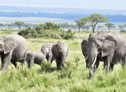 Nanyuki Day Trip Tour