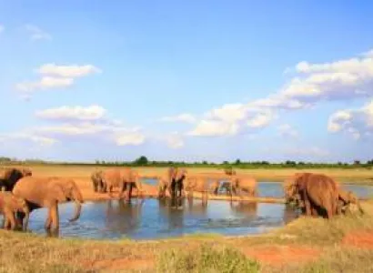 3 Days Amboseli Tsavo East Safari Tour