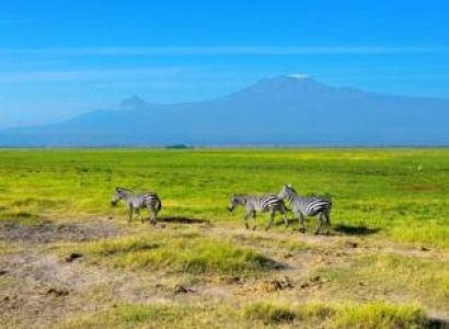 3 Days Amboseli Safari Tour