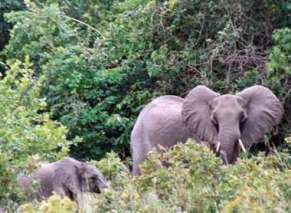 Mombasa Excursions 6 Night - 7 Days Tour