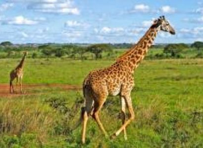Nairobi Excursions 6 Night - 7 Days Tour
