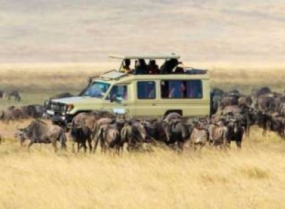 6 Days Ngorongoro - Serengeti - Manyara Tour