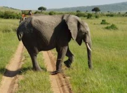 3 NIGHTS TO LAKE NAKURU & MAASAI MARA