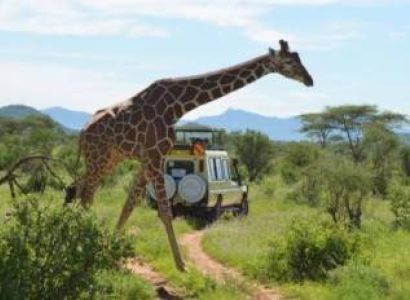 3 NIGHTS TO LAKE NAKURU & MAASAI MARA