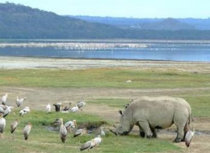 3 NIGHTS TO LAKE NAKURU & MAASAI MARA