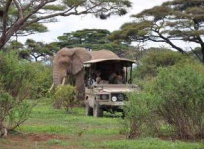 Arusha National Park Day Safari Trip