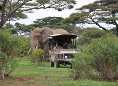 7 Days Tanzania Safari - Tarangire - Serengeti - Ngorongoro Tour