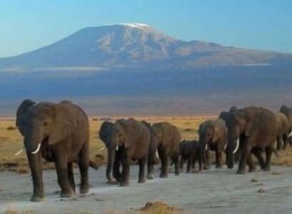 5 Days - 4 Nights Amboseli - Tsavo National Parks Tour