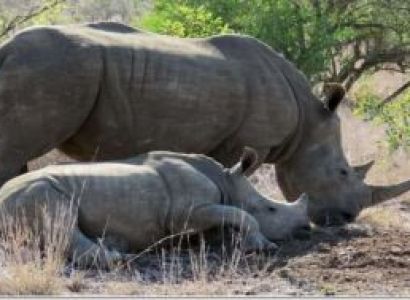7 Days - 6 Nights Mt Kenya National Park Tour