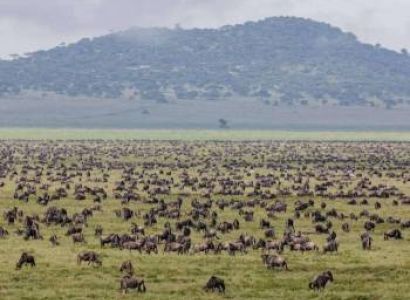 3 Nights 4 Days Maasai Mara Package