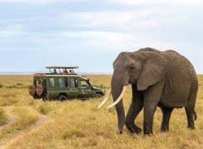 2 Nights 3 Days Amboseli Package