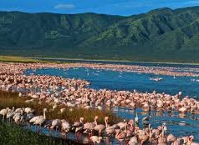 6 Days - 5 Nights Rift Valley Tour