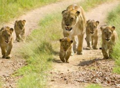 Serengeti and Ngorongoro Creater  3 Days 2 Night