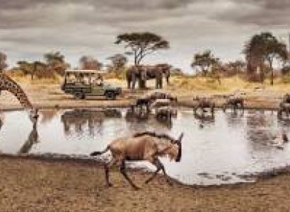 4 Days Tarangire Ngorongoro Creater Serengeti
